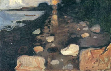 Maanlicht op het strand